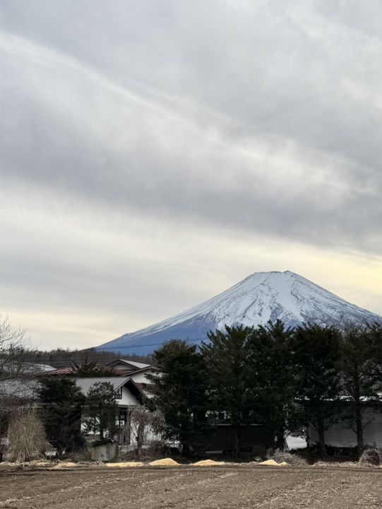 一日行程體驗🗻富士山🗻