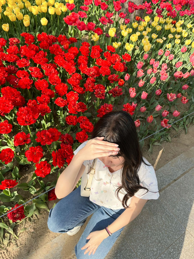 Seoul forest 서울숲 
