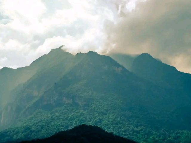 ฮีลใจที่เชียงดาววว 🏕️🏔️✨