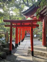 🌿【熱海・來宮神宮】樹齢2000年の御神木に会いに行く、癒しのパワースポット