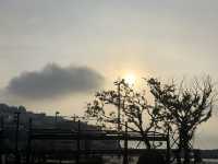 The morning of Busan