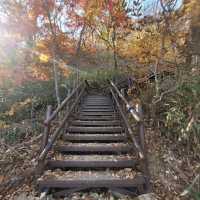 Quiet Trails Baekamsan