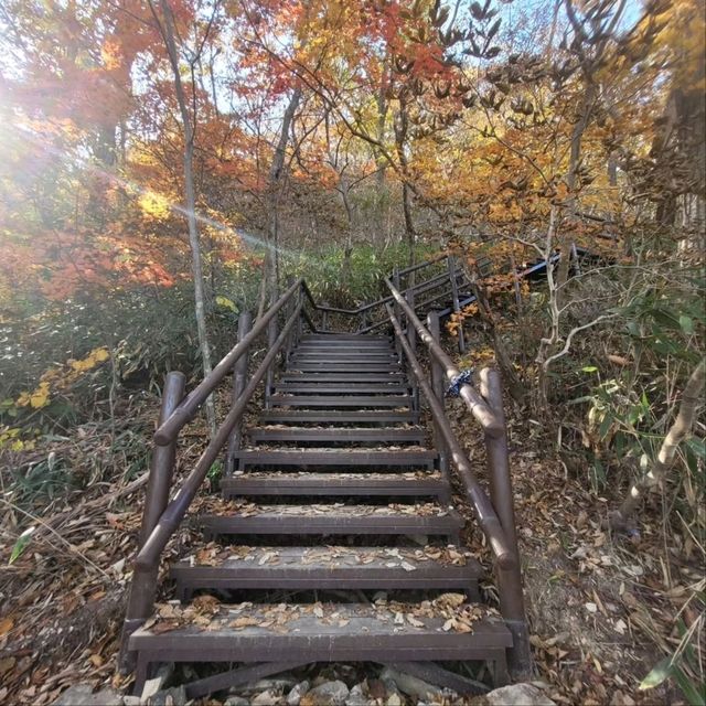 Quiet Trails Baekamsan