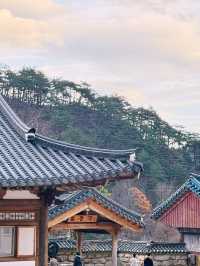 [설악산 여행기] 걷는 것만으로도 위로가 되는 시간, 설악산🌲