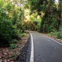 Tanjung Tuan Forest Reserve
