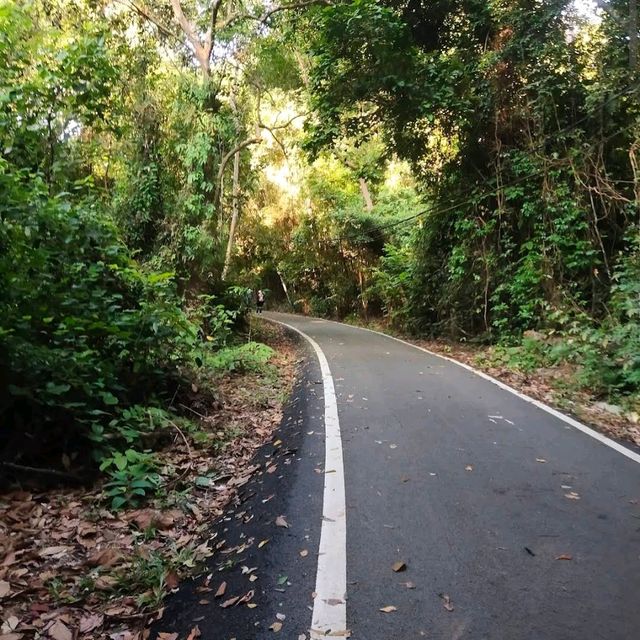 Tanjung Tuan Forest Reserve