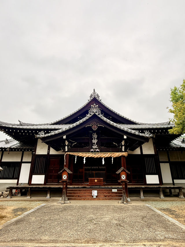 松山｜沒有湯婆婆的湯神社 與甜點職人必拜的中嶋神社