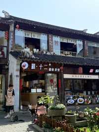 蘇州｜平江路「貓十二」貓咖天堂❤️