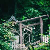 長野🇯🇵戶隱神社