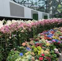 รีวิวสวนทิวลิป @ระยอง🌷💐