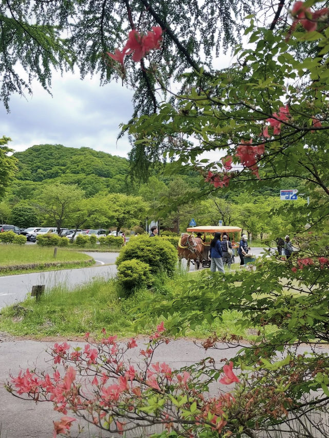 【榛名湖】高原の風と湖畔の絶景に癒されるアウトドア旅
