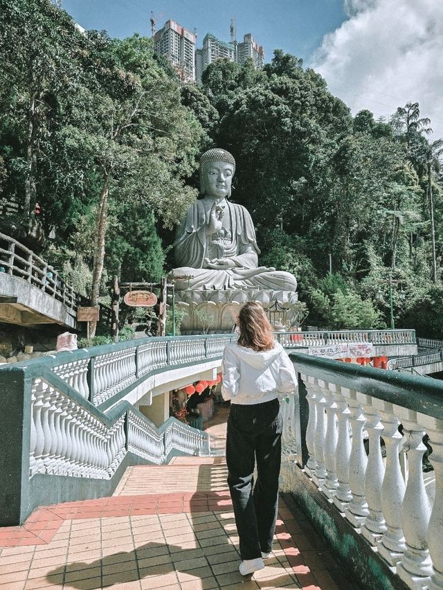 Peaceful Pause at Chin Swee Temple ⛩️🌄