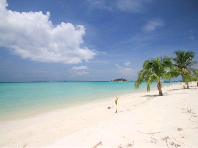 🌴✨ เที่ยว “เกาะหลีเป๊ะ” เกาะที่เปิดตลอดปี! 🌤️🏝️