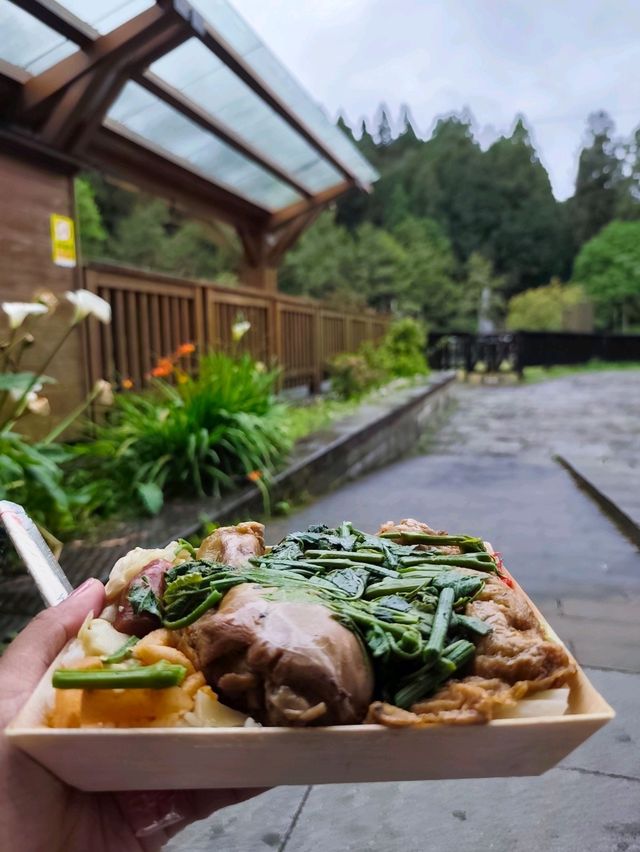 A Dreamy Walk at Alishan
