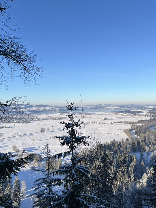 🇩🇪德國必去景點🏰 Neuschwanstein Castle新天鵝堡🦢