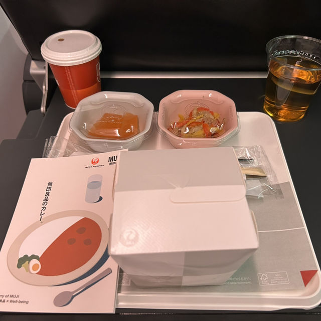 【フランス】 JAL 羽田空港 ⇆ パリ シャルル・ド・ゴール空港