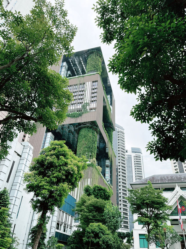 Orchard Road: The Ultimate Stay and Shop Destination in Singapore 
