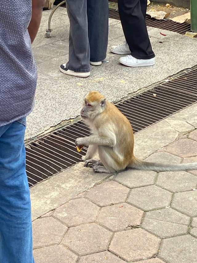 【クアラルンプール】バトゥ洞窟