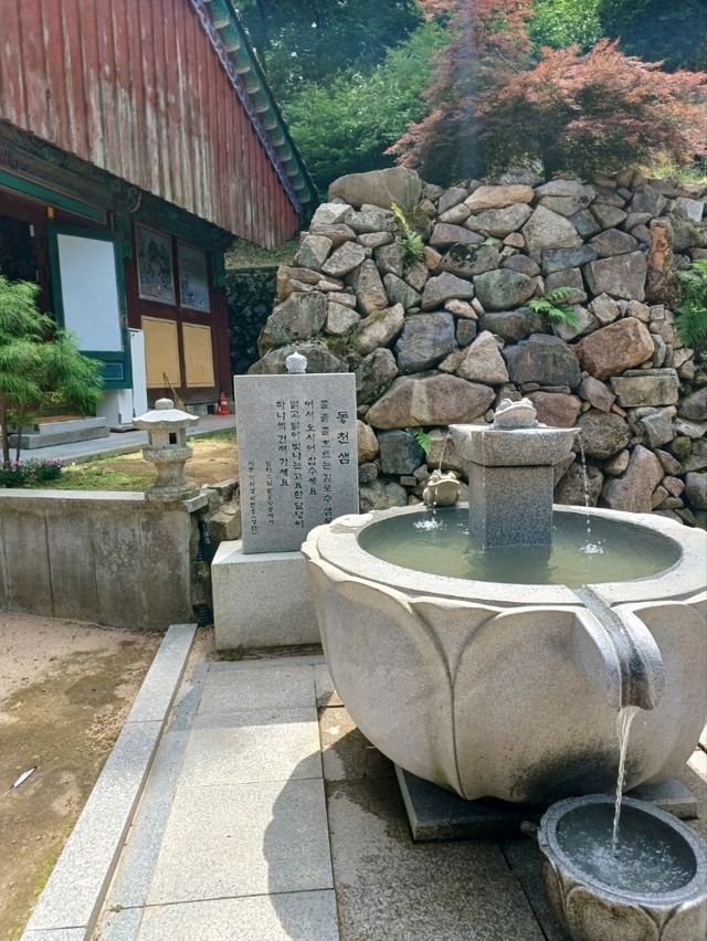 시원한 풍경의 선암사