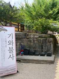 A Peaceful Stroll Through Tongdosa Temple