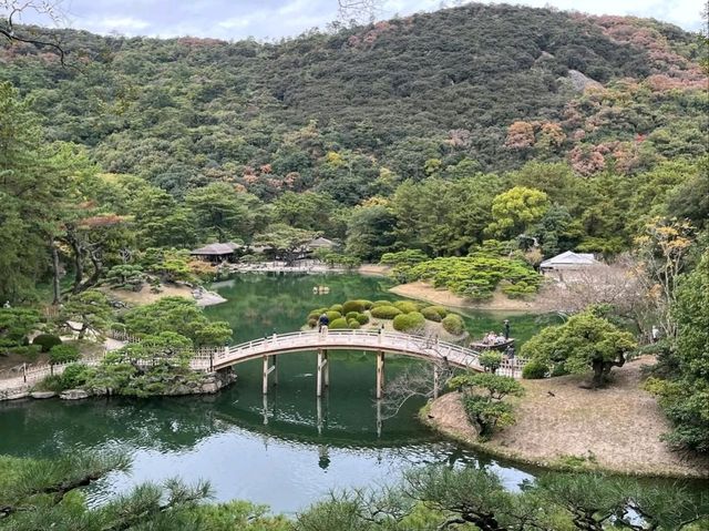 Peace & Pines at Ritsurin Garden