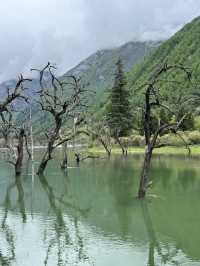 双桥沟 Scenic Escape | The Most Effortless Way to Enjoy 四姑娘山’s 