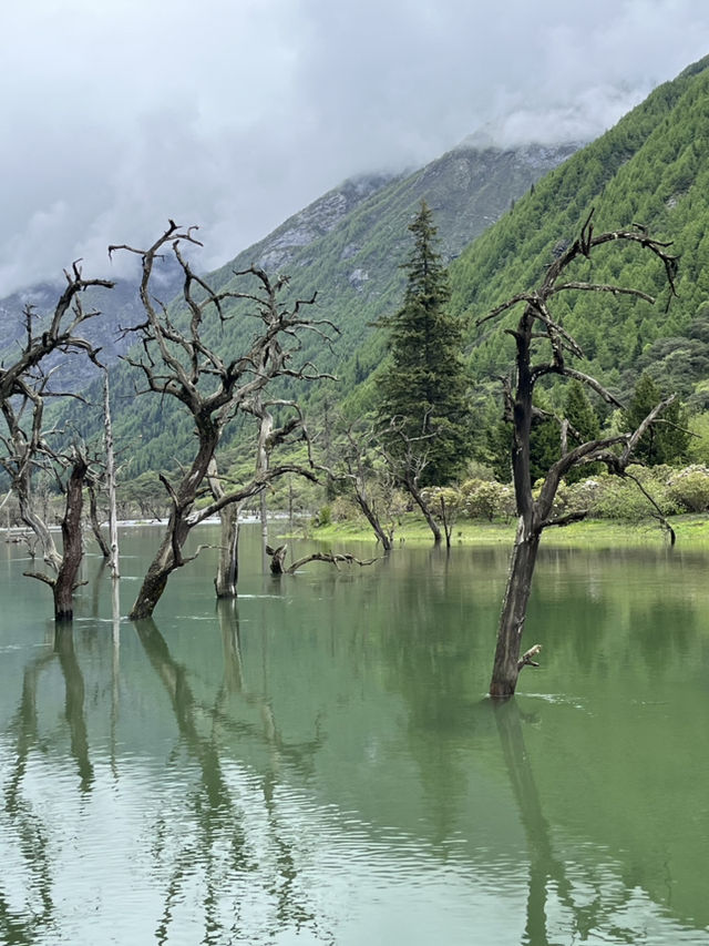 双桥沟 Scenic Escape | The Most Effortless Way to Enjoy 四姑娘山’s 