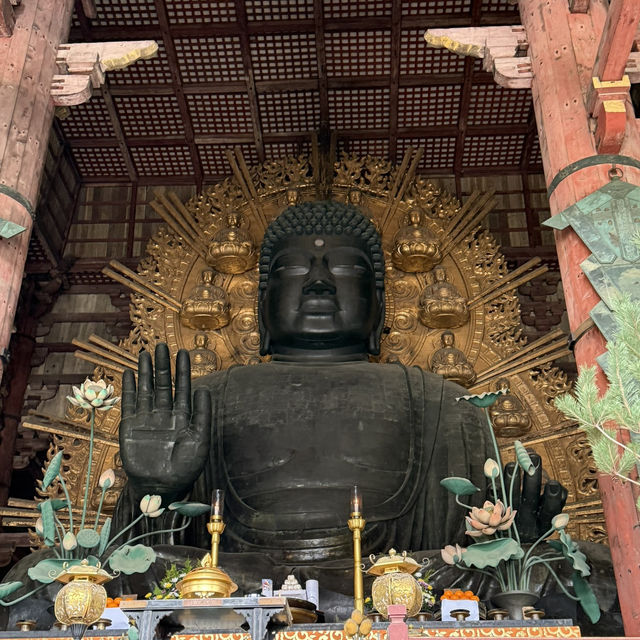 📍Day Trip from Osaka: Nara & Uji ✨