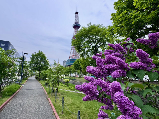 圓山公園登頂