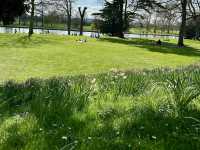 Picnic at Caversham Court Gardens