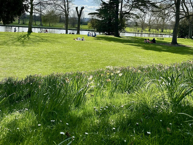 Picnic at Caversham Court Gardens