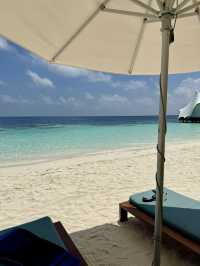 Snorkeling Paradise at W Maldives – Sea Turtles, Reef Fish & Direct Ocean Access 