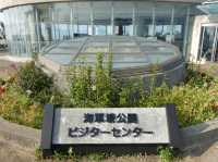 🪖 A Haunting Journey into History – Former Japanese Navy Underground Headquarters