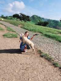 Akha FarmVille ดอยช้าง เชียงราย