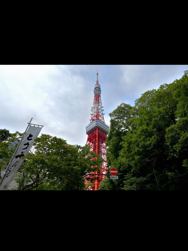 東京 東京タワー 🗼✨