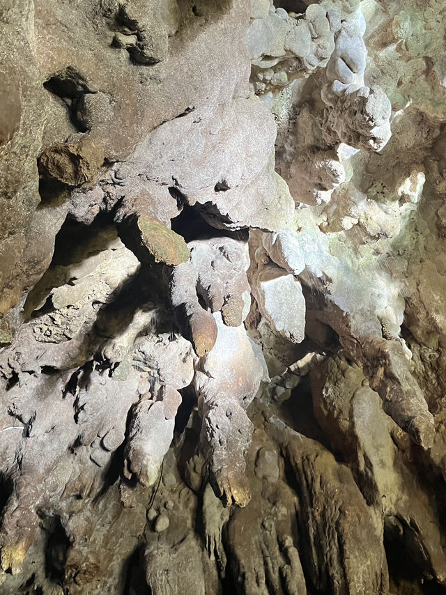 🌌紐西蘭 Waitomo 螢火蟲洞｜靜靜滑進星河的一場夢✨