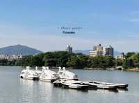 Ohori park | Fukuoka