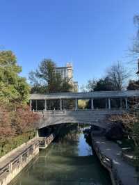 The vibe of Hangzhou