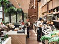 🌿☕✨Baboon Phuket