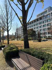 Yonsei University in November