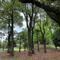 Yoyogi Park