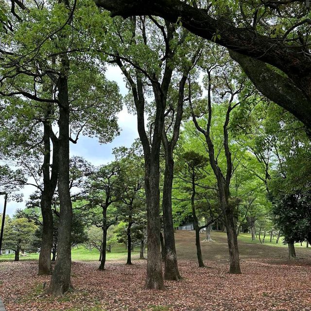 Yoyogi Park