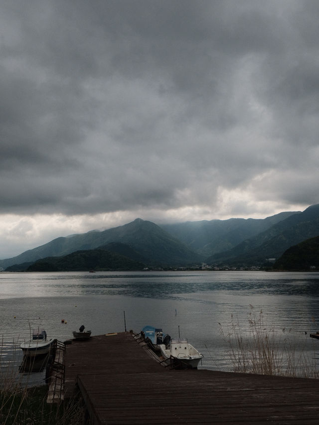 A Glimpse of Fuji, A Flood of Emotion