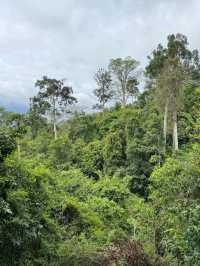 Jungle Feels & Waterfall, Khao Yai is a Nature Win