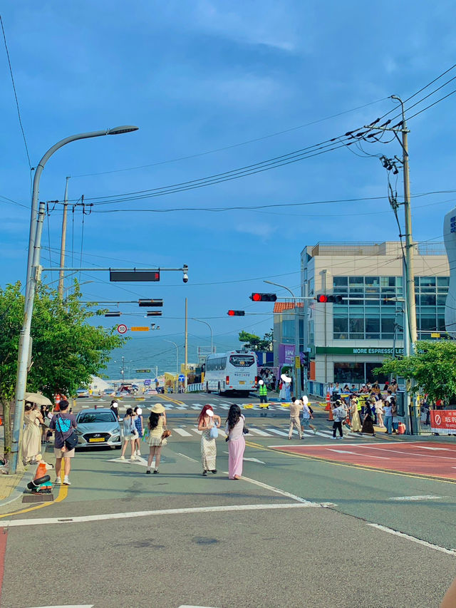 여름 하루 여행일정으로 청사포 강력추천🚃