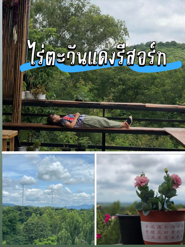 ไร่ตะวันแดง รีสอร์ท