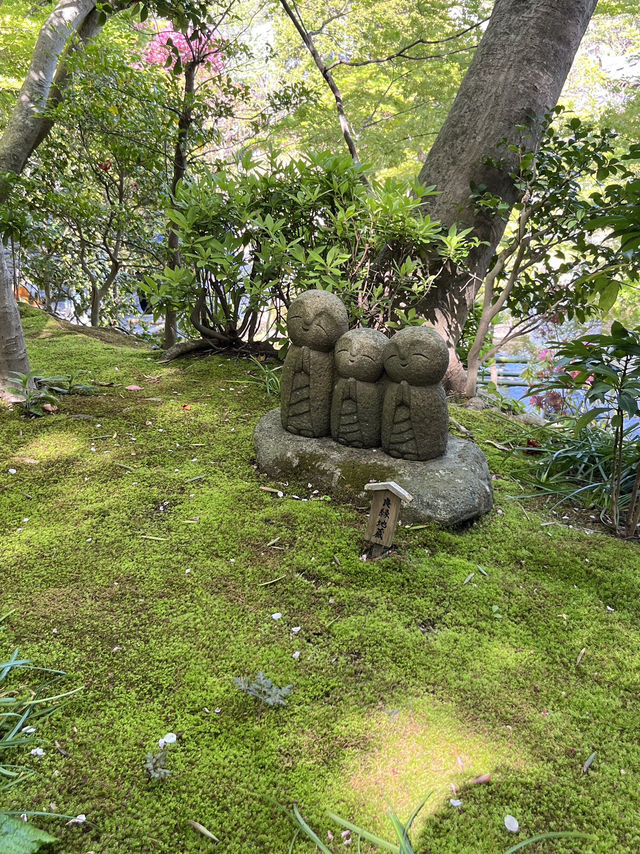 🌸🪷🌊 Hasedera Temple – Where Flowers Meet the Sea in Kamakura