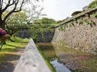 🌸 Walking Through History: A Peaceful Stroll at Goryōkaku Park