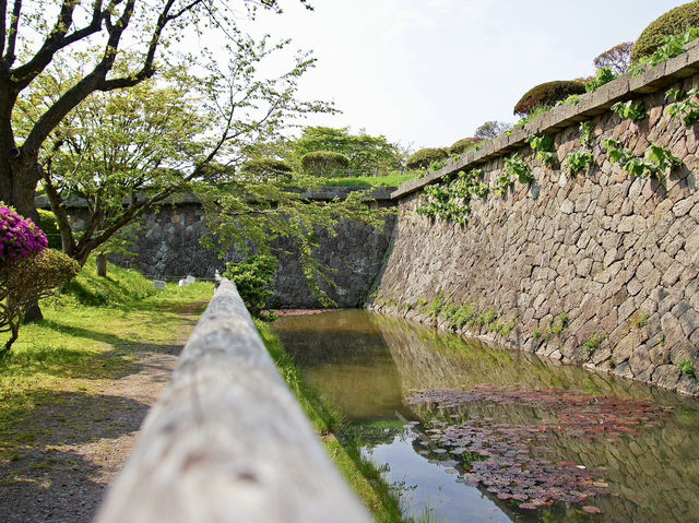 🌸 Walking Through History: A Peaceful Stroll at Goryōkaku Park