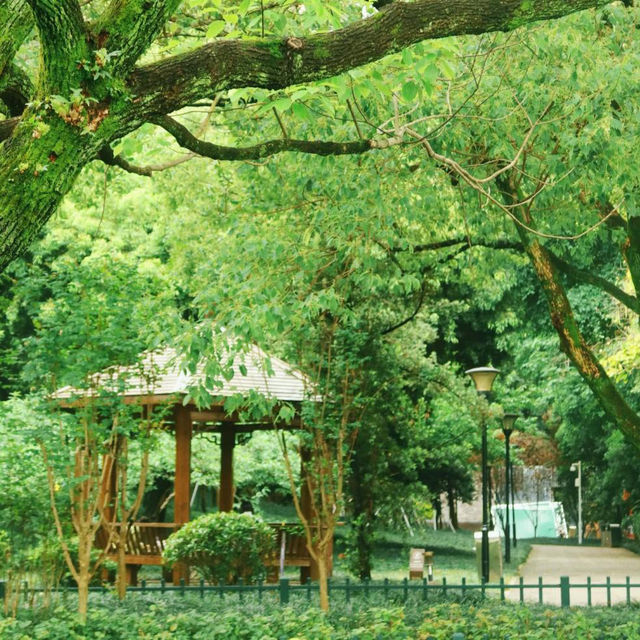 ～南林公園～綠油油世界～